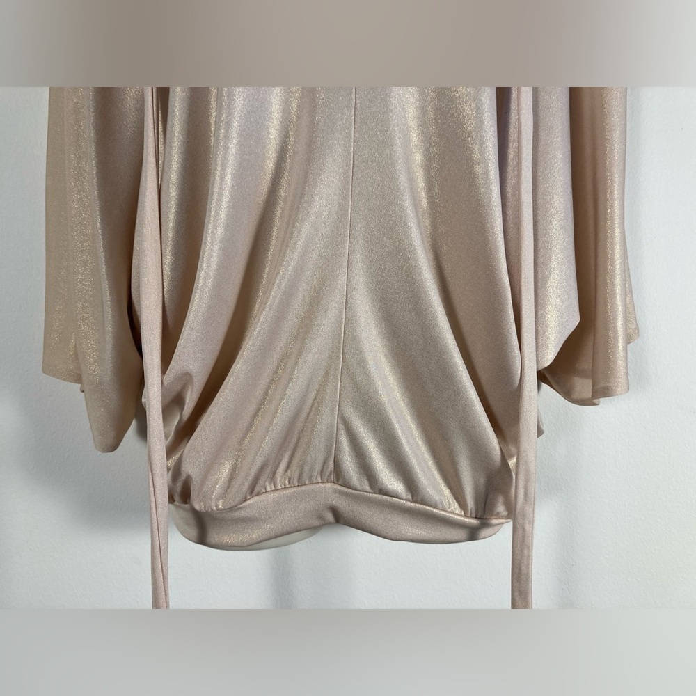 Julian Chang Tunic Top XL Champagne Shimmer Dolman Sleeve Tie Neck - Picture 4 of 10